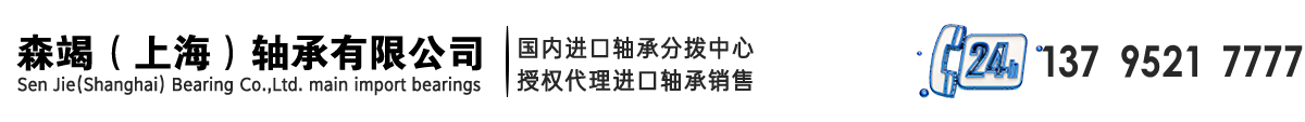 森竭（上海）軸承有限公司-上海進(jìn)口軸承知名掛牌企業(yè)